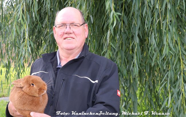 50. Neuseeländer-Club-Vergleichsschau 2024 in Stadtroda, Michael Geiger mit seiner 97er-Gruppensiegerhäsin der Roten Neuseeländer