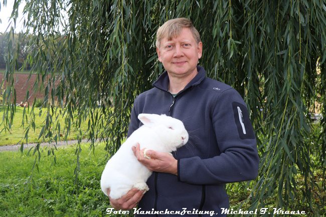 50. Neuseeländer-Club-Vergleichsschau 2024 in Stadtroda, Vitali Germann mit seiner 97,5er-Siegerhäsin der Weißen Neuseeländer